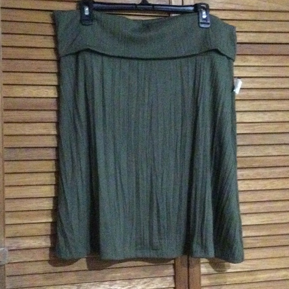 Green Knee-Length A-Line Pleated Skirt